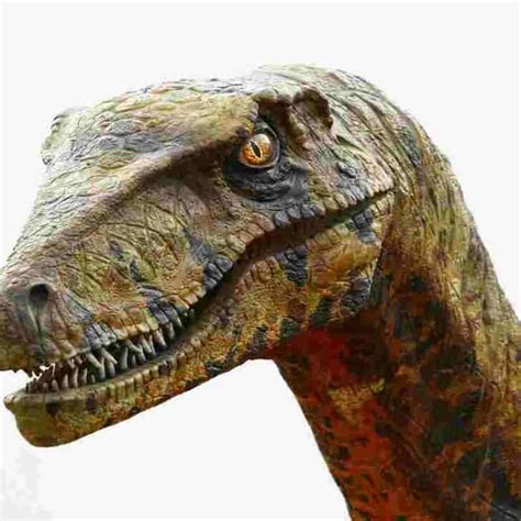 Did Dinosaurs Have Ears? What We Know About Dinosaur Hearing – Adventure Dinosaurs