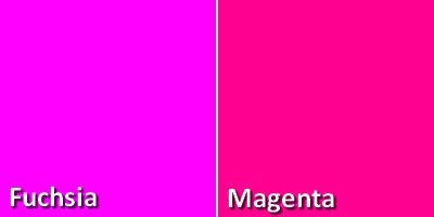 Trend Masa Kini Warna Pink Fuchsia