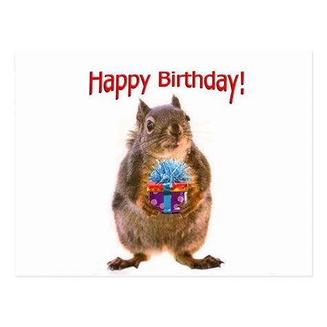 Happy Birthday Squirrel with Present Postcard | Zazzle.com | Happy birthday squirrel, Happy ...