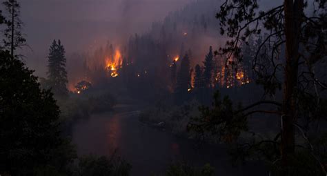 Year’s Largest Fire Destroys California Homes – Channels Television