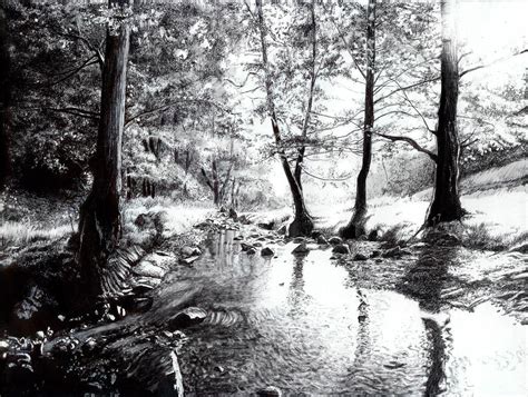 Forest drawing, Landscape drawings, Tree drawing