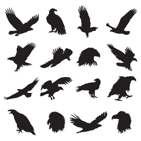 Set of bald eagle silhouette vector illustration 19019198 Vector Art at ...