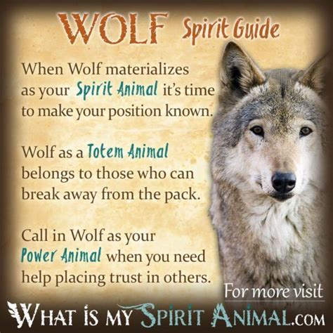 Wolf Symbolism & Meaning | Wolf Spirit Animal & Totem