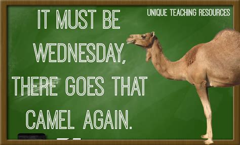 Wednesday Hump Day Quotes