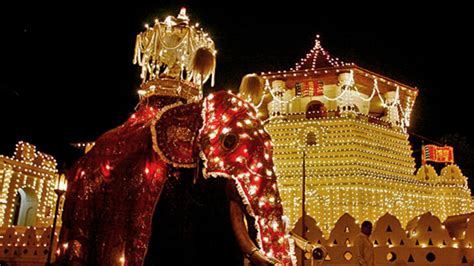 Sri Lanka: Tour highlights Kandy Esala Perahera festival - Los Angeles Times