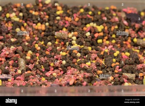 Mix fishing bait pellets close-up. Baits for carp Stock Photo - Alamy