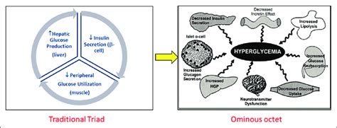 Diabetes pathophysiology: Traditional triad to ominous octet ...