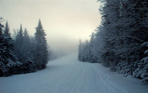 Foggy Winter Night Wallpapers - Wallpaper Cave