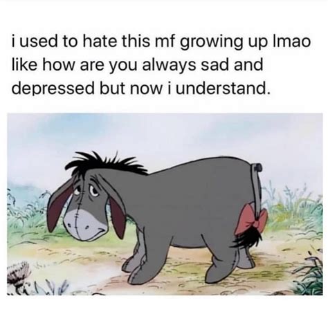 Thanks for noticin' me. - Eeyore : r/memes