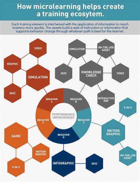 Ecosystem Infographic