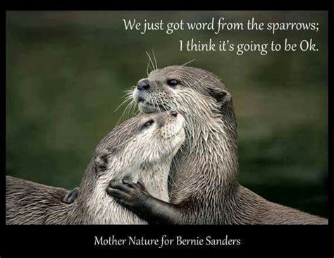 Épinglé par kristen Nickel sur Bernie. Memes that moved me... | Loutre, Animaux amoureux ...