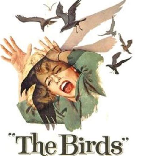 Horror Film Review : The Birds 1963 | Horror Amino