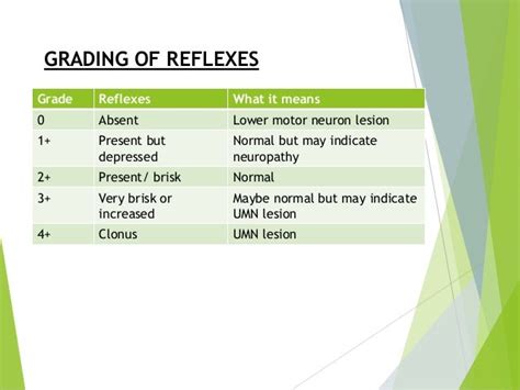 Deep Tendon Reflex Grading Scale