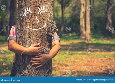 Love Tree stock image. Image of metaphor, forest, face - 54857301