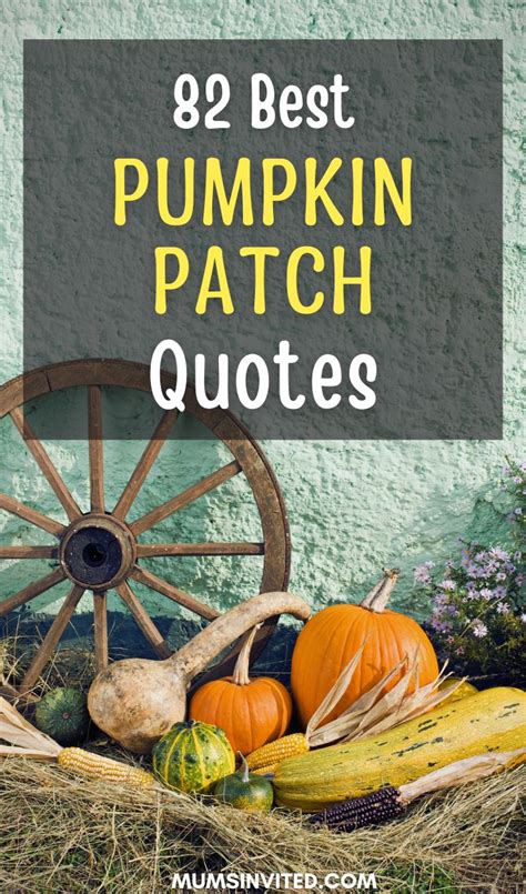 97 Pumpkin Quotes And Sayings To Cozy Up With This Fall - Mums Invited