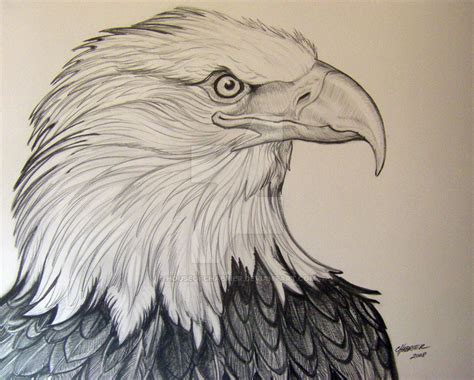 Eagle Drawing Pencil at GetDrawings | Free download