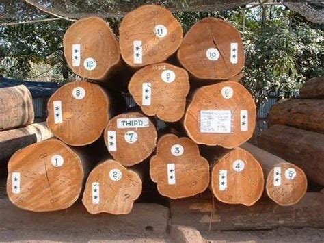 Burma Teak Wood Logs at Rs 4000/cubic feet | Wood in Shillong | ID: 13633563255