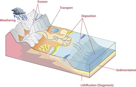 [DIAGRAM] Lake Sedimentation Diagram - MYDIAGRAM.ONLINE