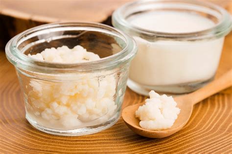 Milk Kefir Grains | CulturesforHealth | Kefir.pk