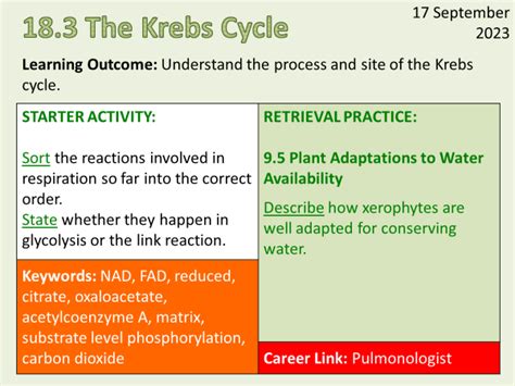 OCR Biology A- 18.3 The Krebs Cycle | Teaching Resources