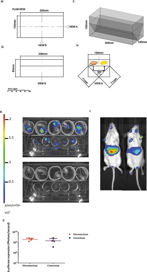 Whole-body bioluminescence imaging of conscious mice which have ...