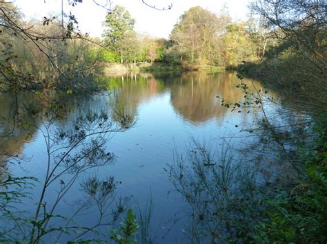 The Old Mill Pond by Twissels Mill © Dave Spicer :: Geograph Britain and Ireland