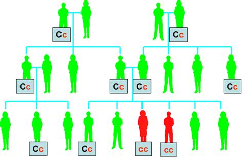 Red Green Color Blindness Inheritance Pattern - Infoupdate.org