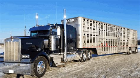 Bull Hauler Left Lane 2018 Kenworth 1920x1080 Wallpaper Kenworth Trucks ...