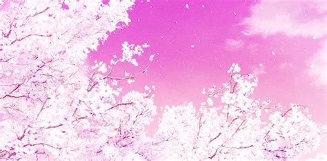 sakura gifs Page 21 | WiffleGif