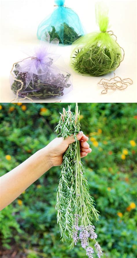 Drying Herbs Easily: Best Hacks and 4 Methods Compared - A Piece Of Rainbow