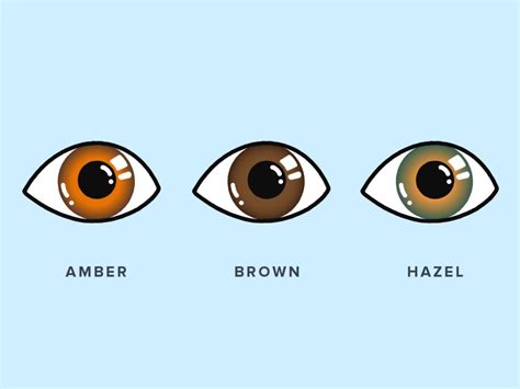 Amber Eyes: How Rare Are They? | Warby Parker