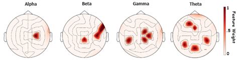 Maps of most frequently selected features for predicting GSR. Note that ...