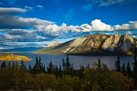 Tagish Lake, Bove Island, Yukon, British Columbia Stock Photo - Image of northern, windy: 33288192