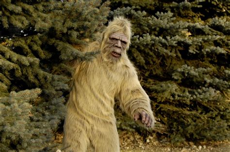 Oklahoma will Pay You $3 Million to Capture Bigfoot Alive