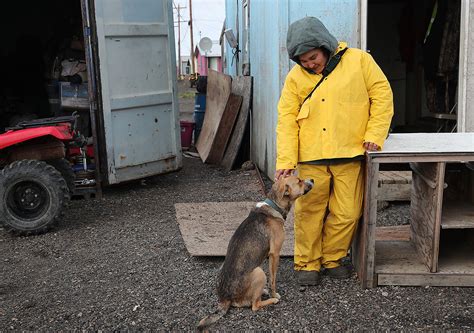 Kivalina, photos of the Alaskan village that could be gone by 2025 ...