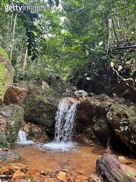 Mini waterfall in the middle of forest at Gunung Lambak, Kluang, Johor ...