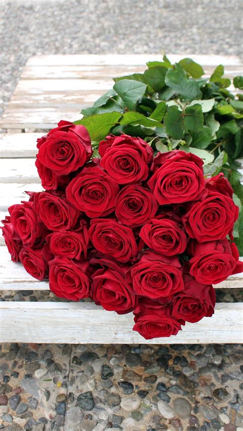 Floraison gr red roses – Artofit