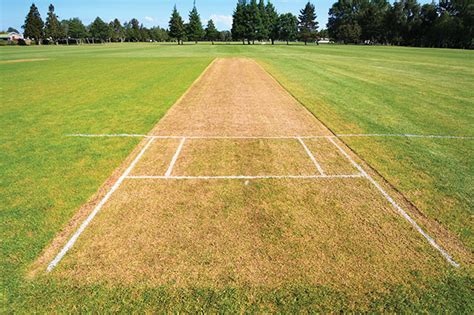 Cricket turf maintenance another ballgame - Turf & RecTurf & Rec