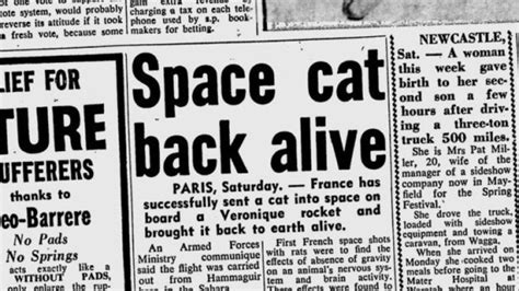 There's now a Kickstarter to build a statue in honour of Félicette, the first cat in space ...