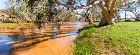 Home » Shire of Wiluna