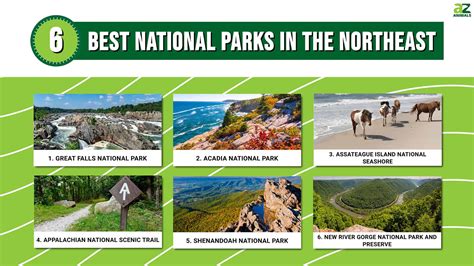 Discover the 6 Best National Parks in the Northeast - A-Z Animals