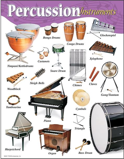 Percussion Instruments | Percussion instruments, Percussion, Instruments