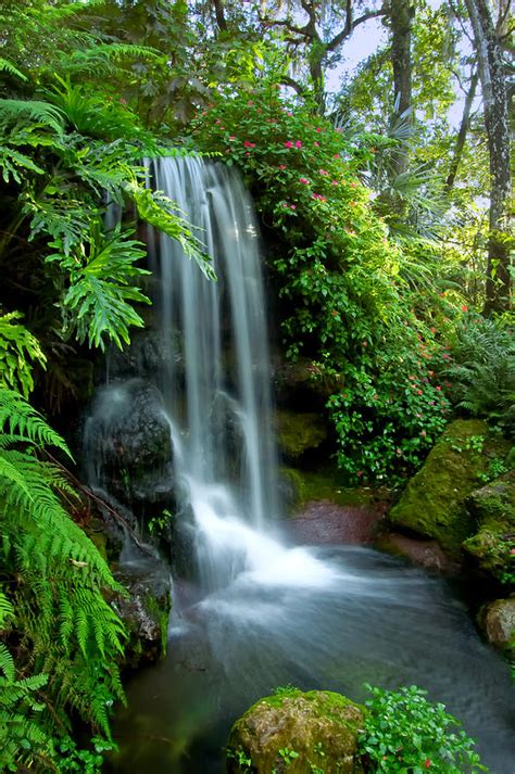 Natural Spring Waterfall Photograph by Rich Leighton