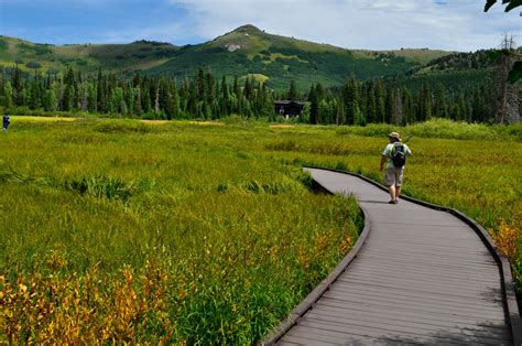 Silver Lake Interpretive Trail - Your Hike Guide