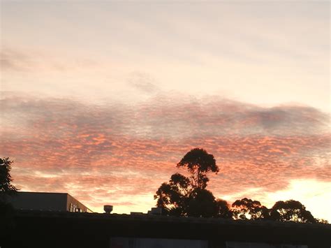 The sky at around 4-5pm in Sydney, Australia : r/whatisthisthing