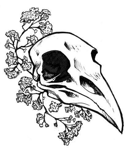 tumblr drawings raven skull - Google Search | Skull drawing, Animal skull drawing, Skull art