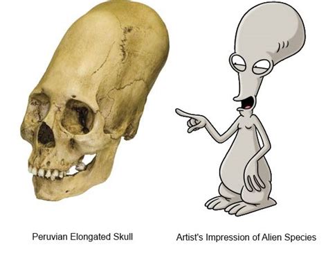 Paracas Elongated Skulls | Modern history, Ancient history, History