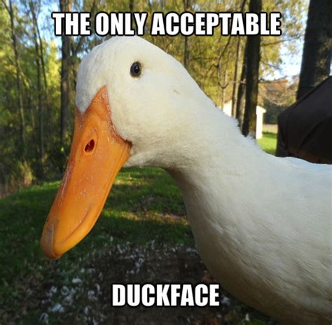 Duck Face - JustPost: Virtually entertaining