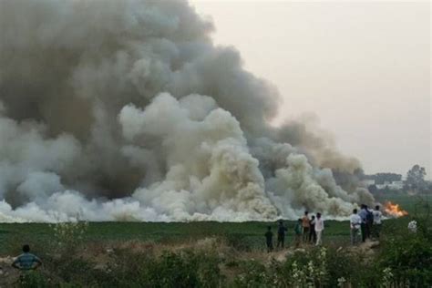 Bellandur lake pollution matter: Hearing continues today - India News | The Financial Express