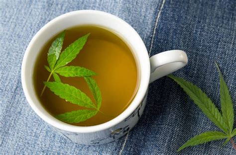 Start Your Day With a Cozy Cup of Cannabis Tea - Pacific Seed Bank